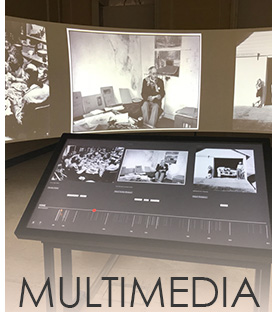 multimedia / interactive